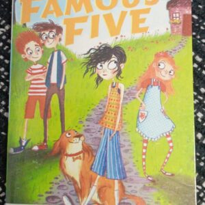 THE FAMOUS FIVE (FIVE HAVE PLENTY OF FUN) - EB - 14