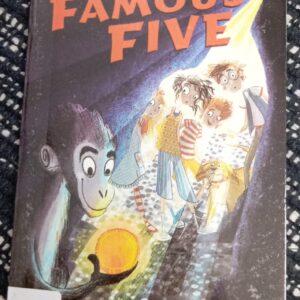 THE FAMOUS FIVE (FIVE GO TO DEMON'S ROCK) - EB - 19