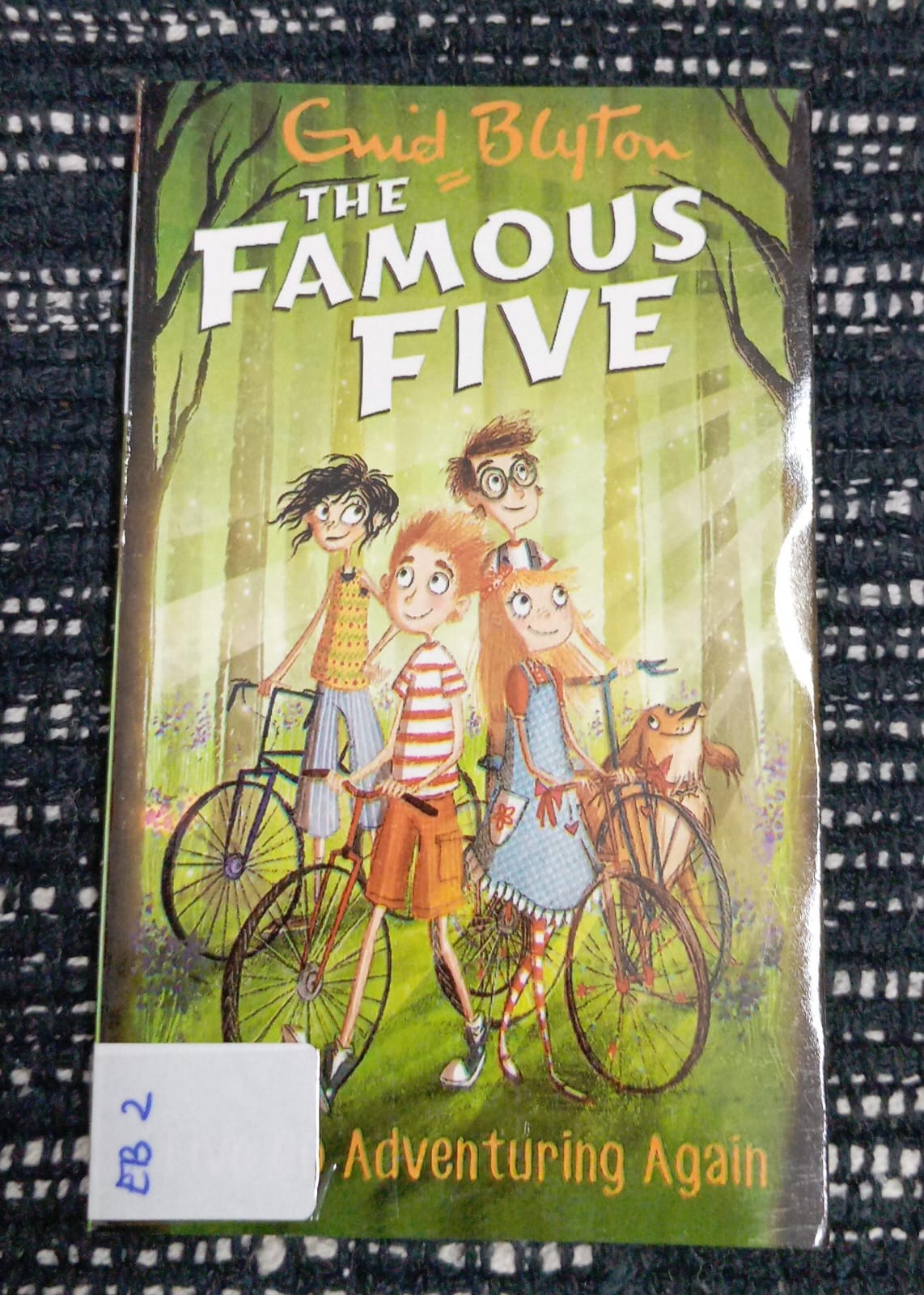 THE FAMOUS FIVE (FIVE GO ADVENTURING AGAIN) - EB - 2
