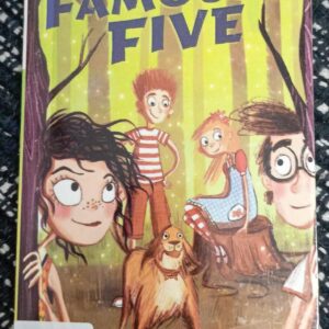 THE FAMOUS FIVE (FIVE HAVE A MYSTERY TO SOLVE ) - EB - 20