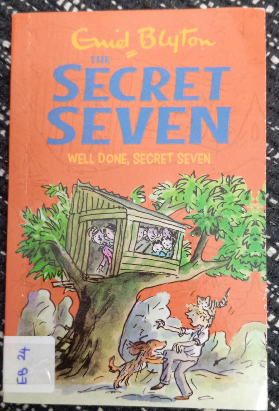 THE SECRET SEVEN ( WELLDONE, SECRET SEVEN) - EB - 24