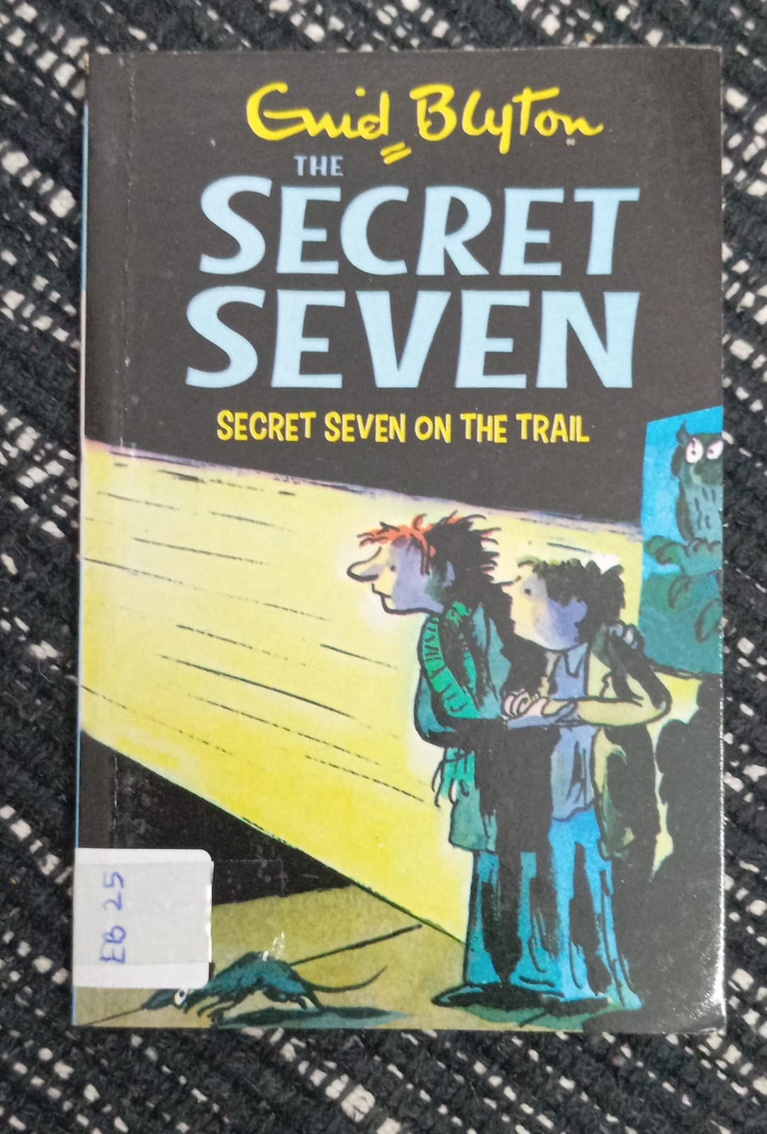 THE SECRET SEVEN ( SECRET SEVEN ON THE TRIAL) - EB - 25