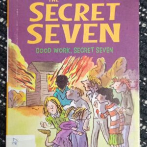 THE SECRET SEVEN ( GOOD WORK, SECRET SEVEN) - EB - 27