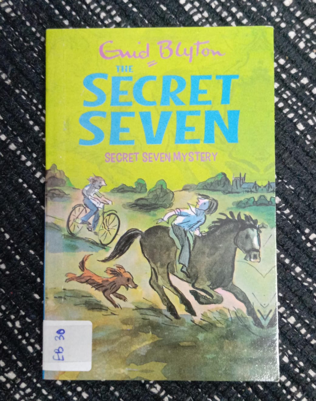 THE SECRET SEVEN ( SECRET SEVEN MYSTERY) - EB - 30