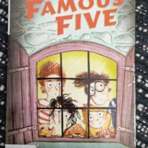 THE FAMOUS FIVE (FIVE GET INTO TROUBLE) - EB - 8