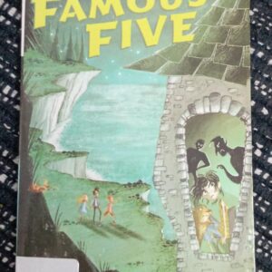 THE FAMOUS FIVE (FIVE FALL INTO ADVENTURE) - EB - 9