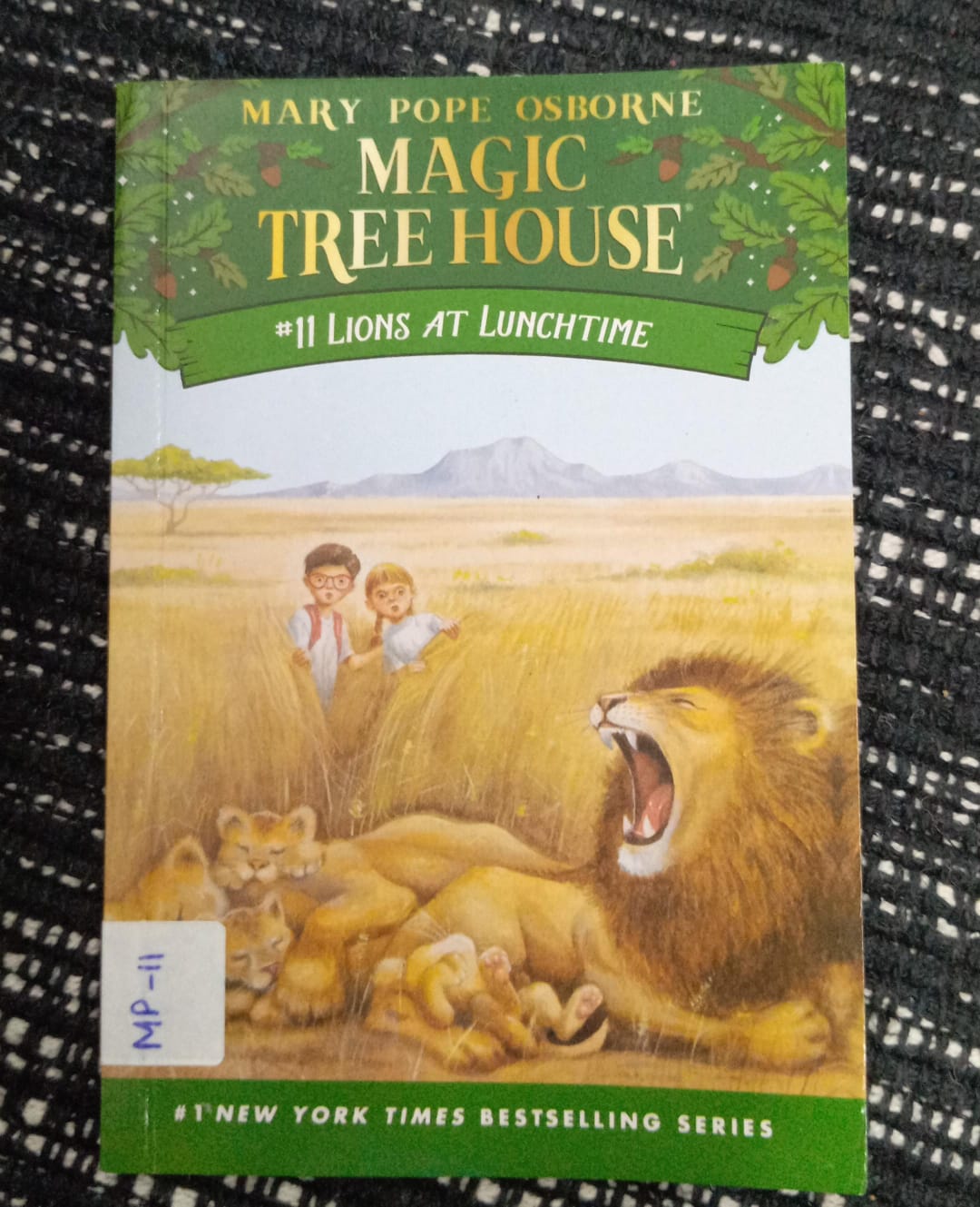 MAGIC TREE HOUSE: LIONS AT LUNCHTIME – MP-11
