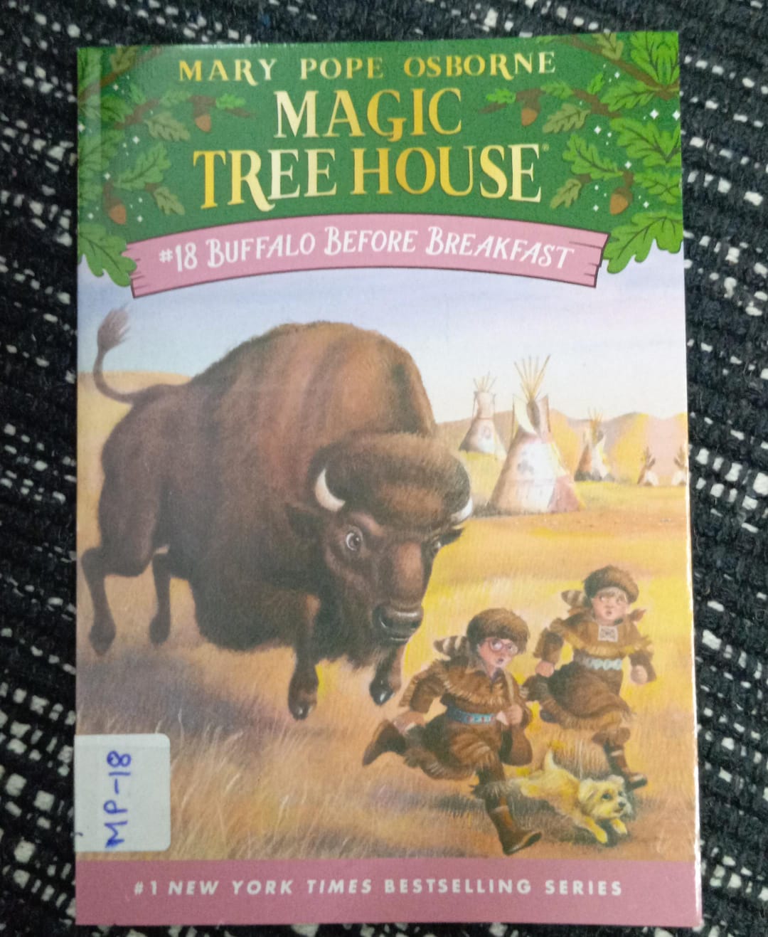 MAGIC TREE HOUSE: BUFFALO BEFORE BREAKFAST – MP-18
