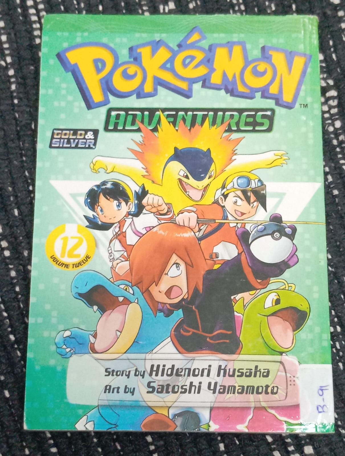 POKEMON ADVENTURES 12 – PK-12