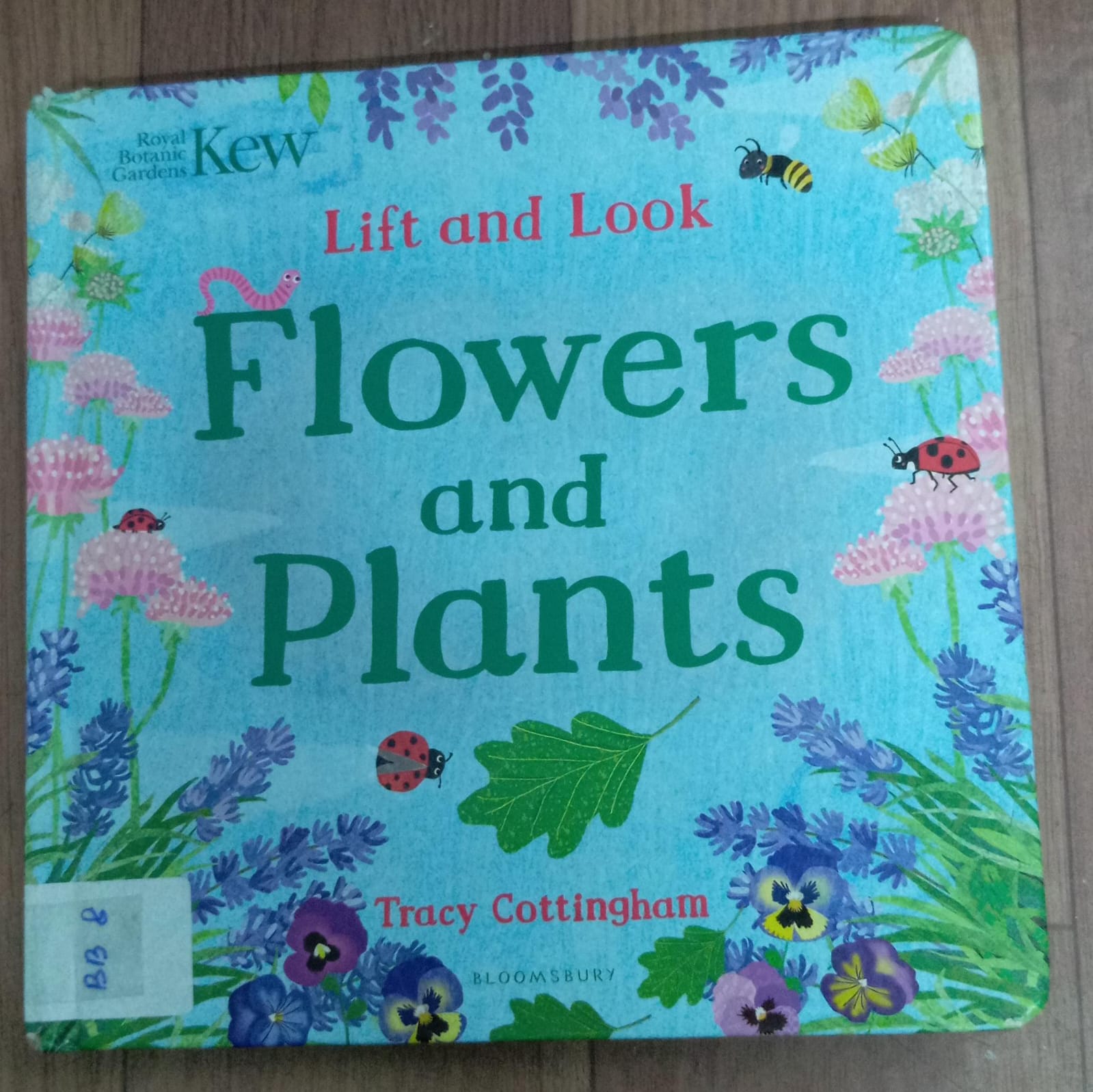 LIFT AND LOOK FLOWERS AND PLANTS BB-8