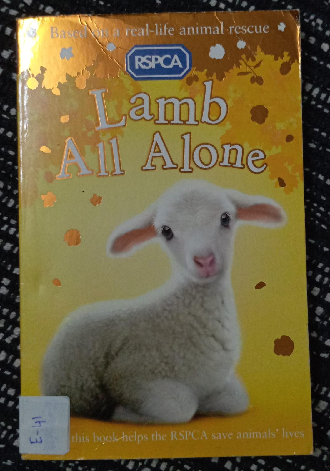 LAMB ALL ALONE - E-41