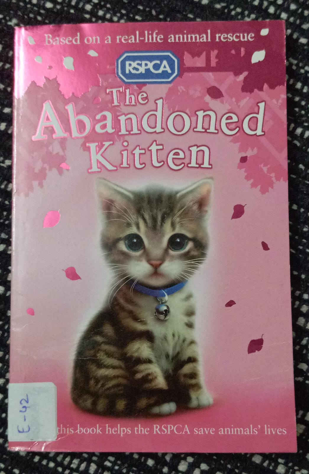 THE ABANDONED KITTEN - E-42