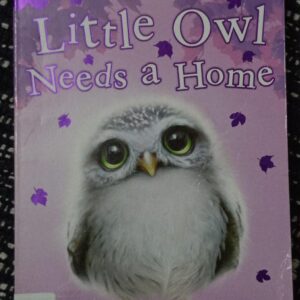 LITTLE OWL NEEDS A HOME - E-43