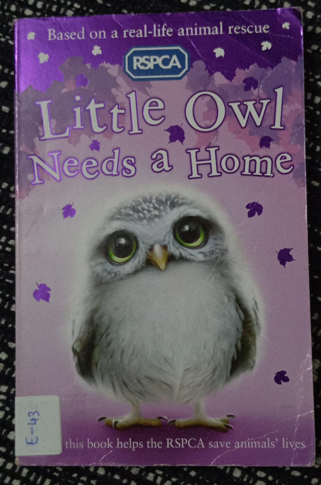 LITTLE OWL NEEDS A HOME - E-43