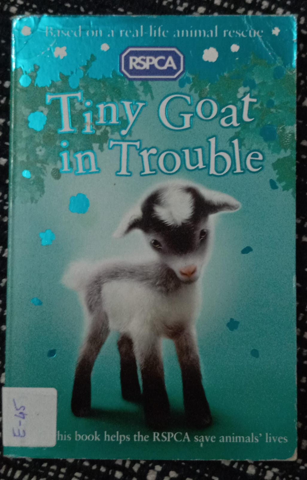 TINY GOAT IN TROUBLE - E-45
