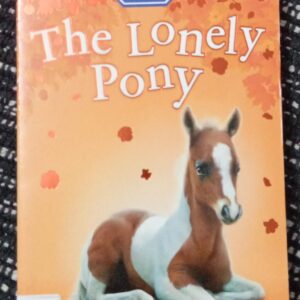 THE LONELY PONY - E-46
