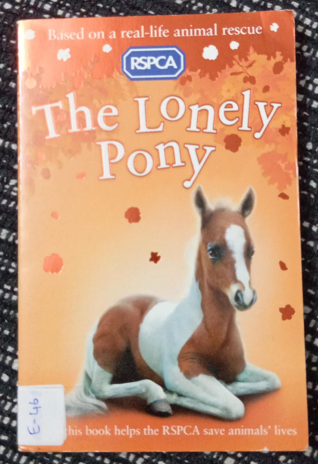 THE LONELY PONY - E-46