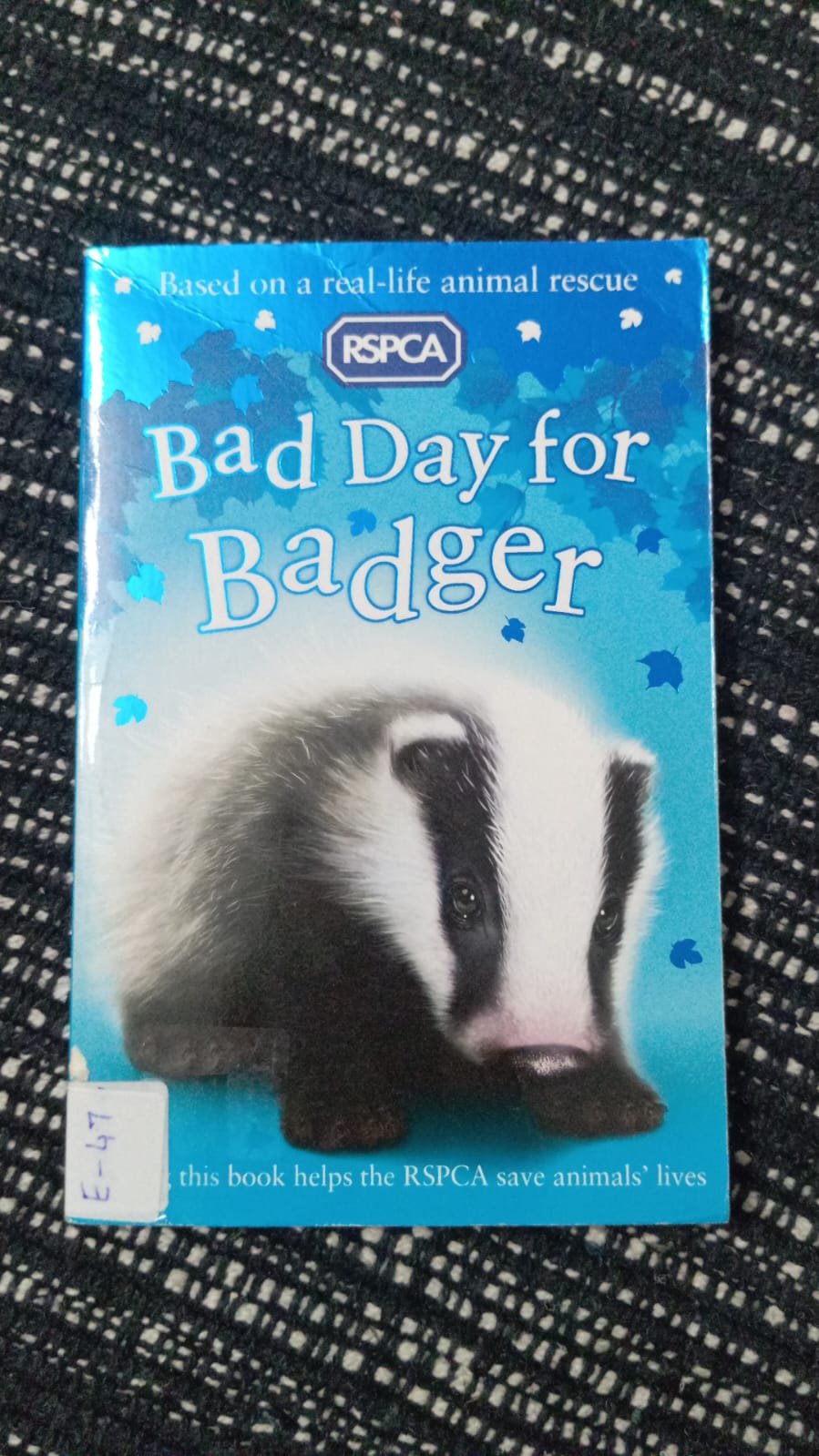 BAD DAY FOR BADGER - E-47