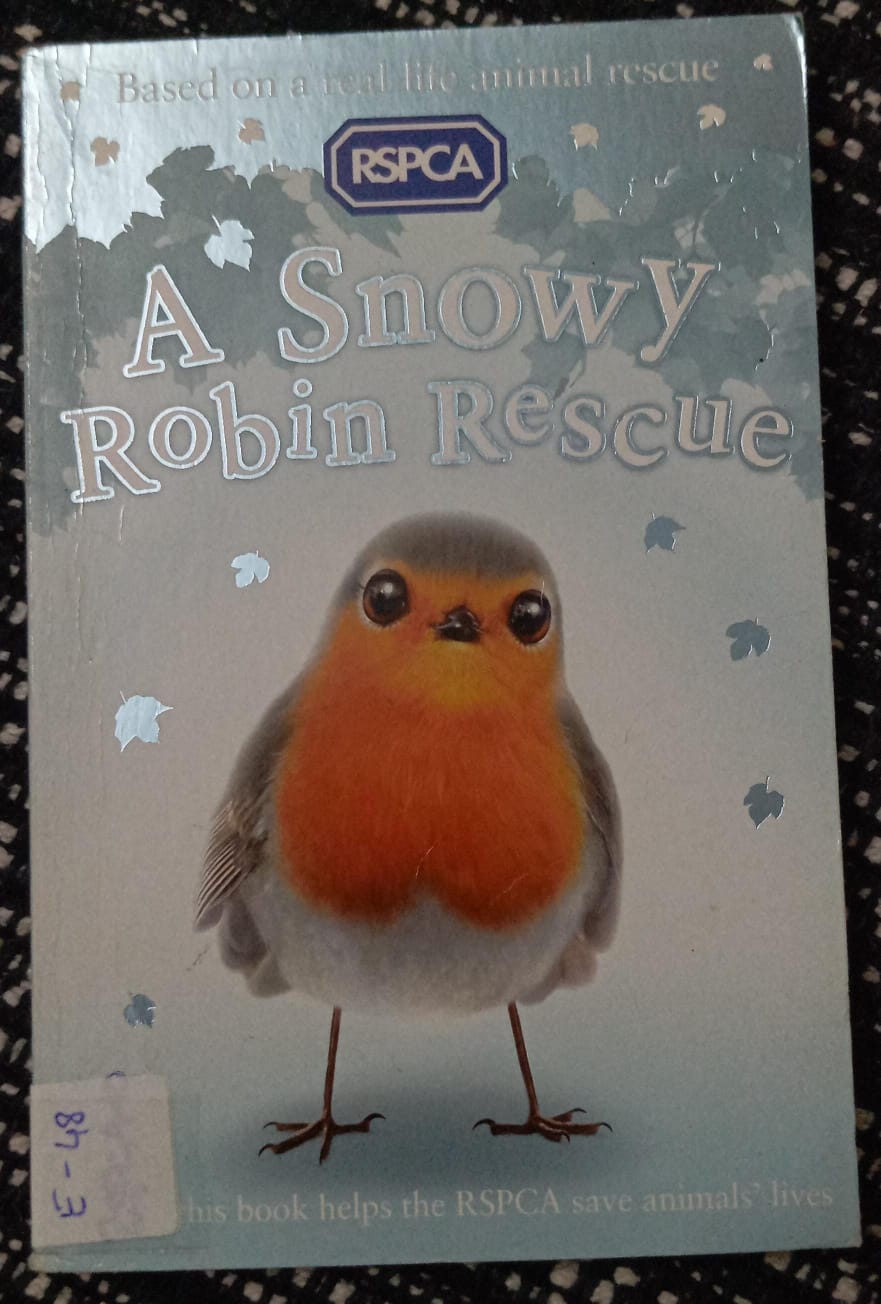 A SNOWY ROBIN RESCUE - E-48