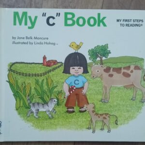 My 'C' Book P-46