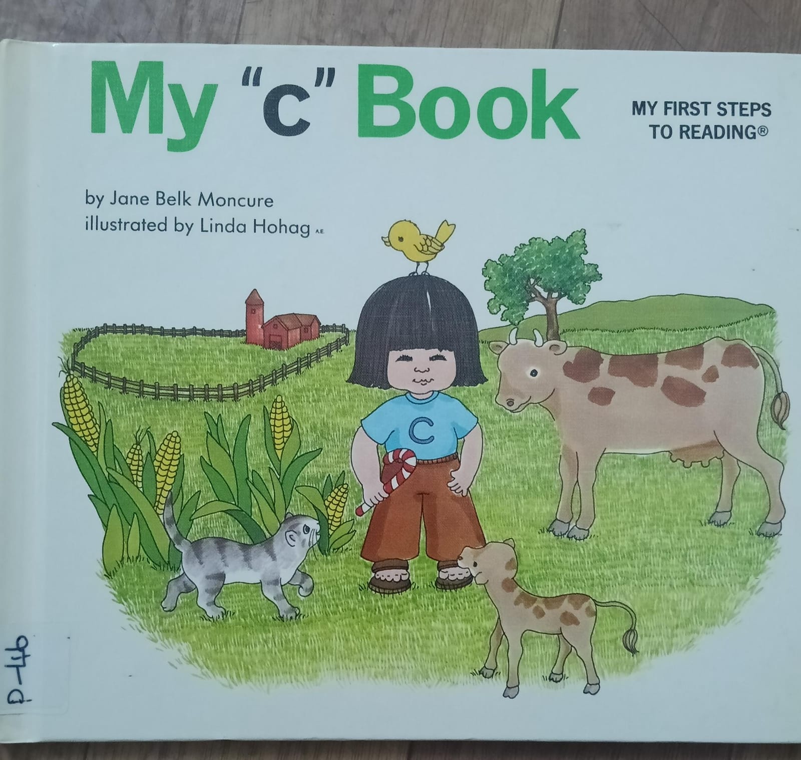 My 'C' Book P-46