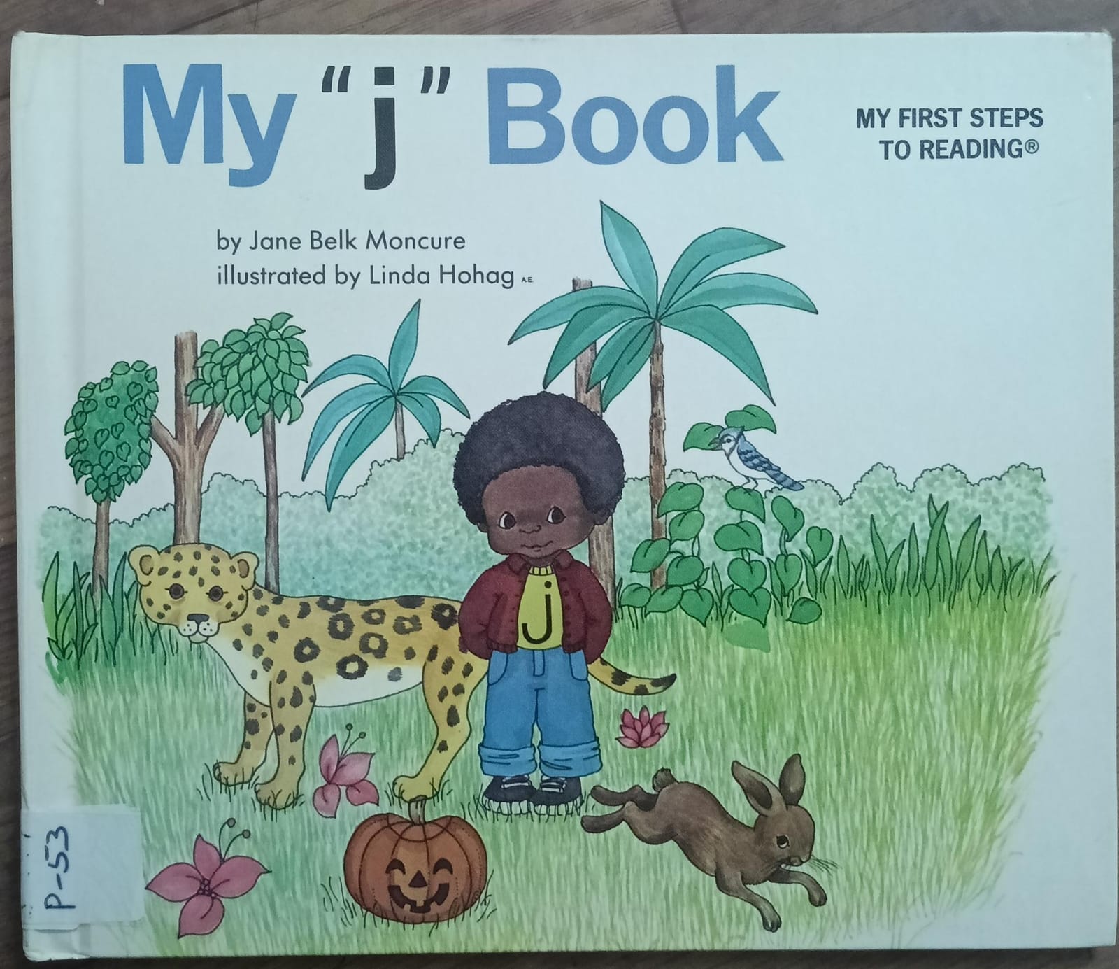 My 'J' Book P-53