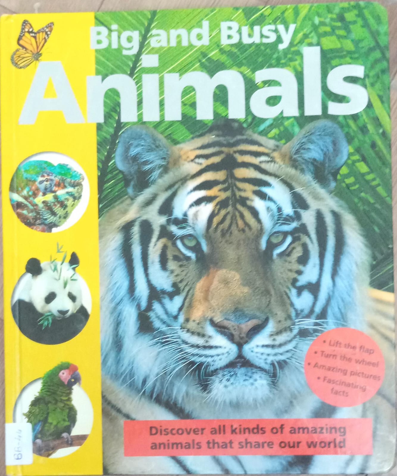 BIG AND BUSY ANIMALS