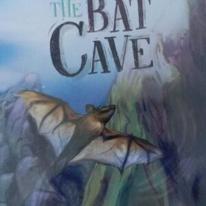 THE BAT CAVE