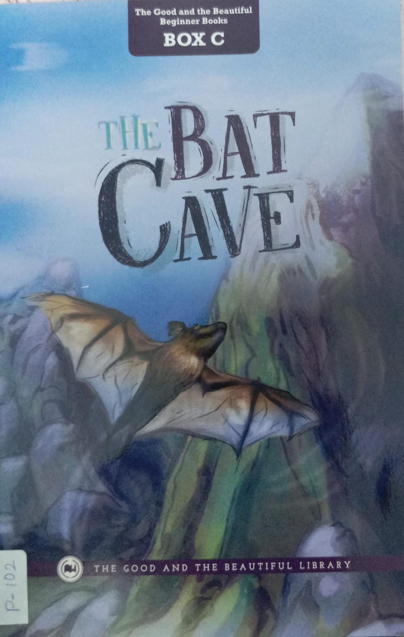 THE BAT CAVE