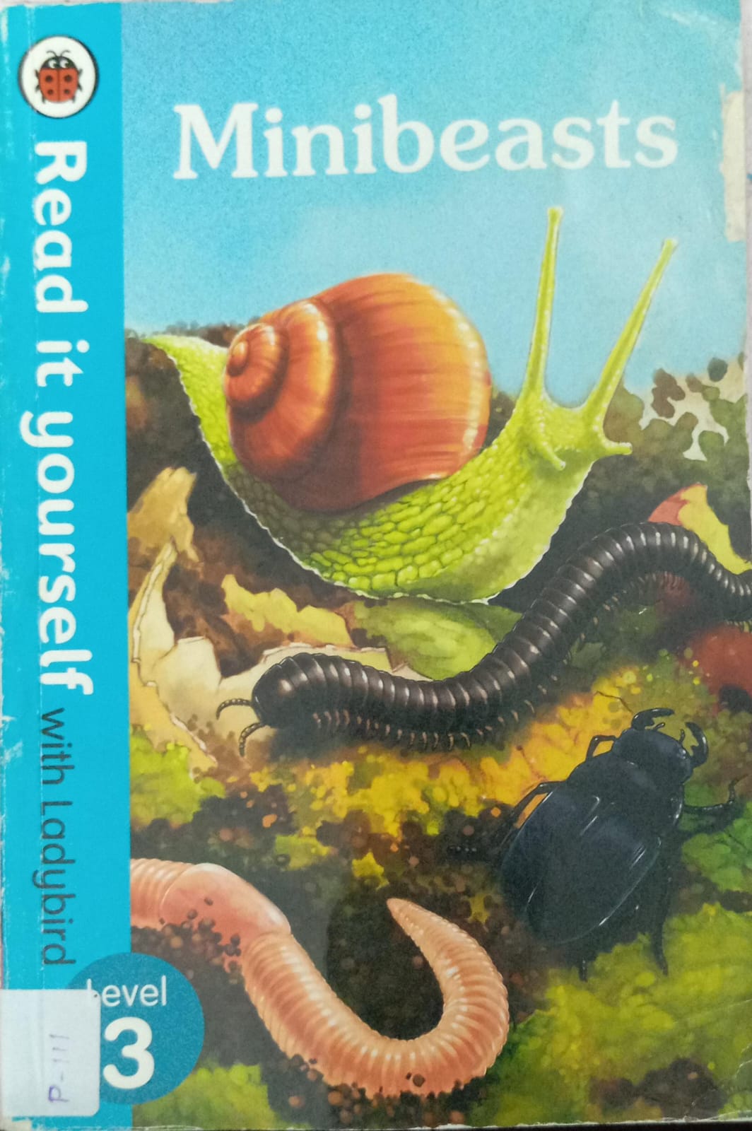 MINIBEASTS