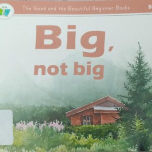BIG, NOT BIG