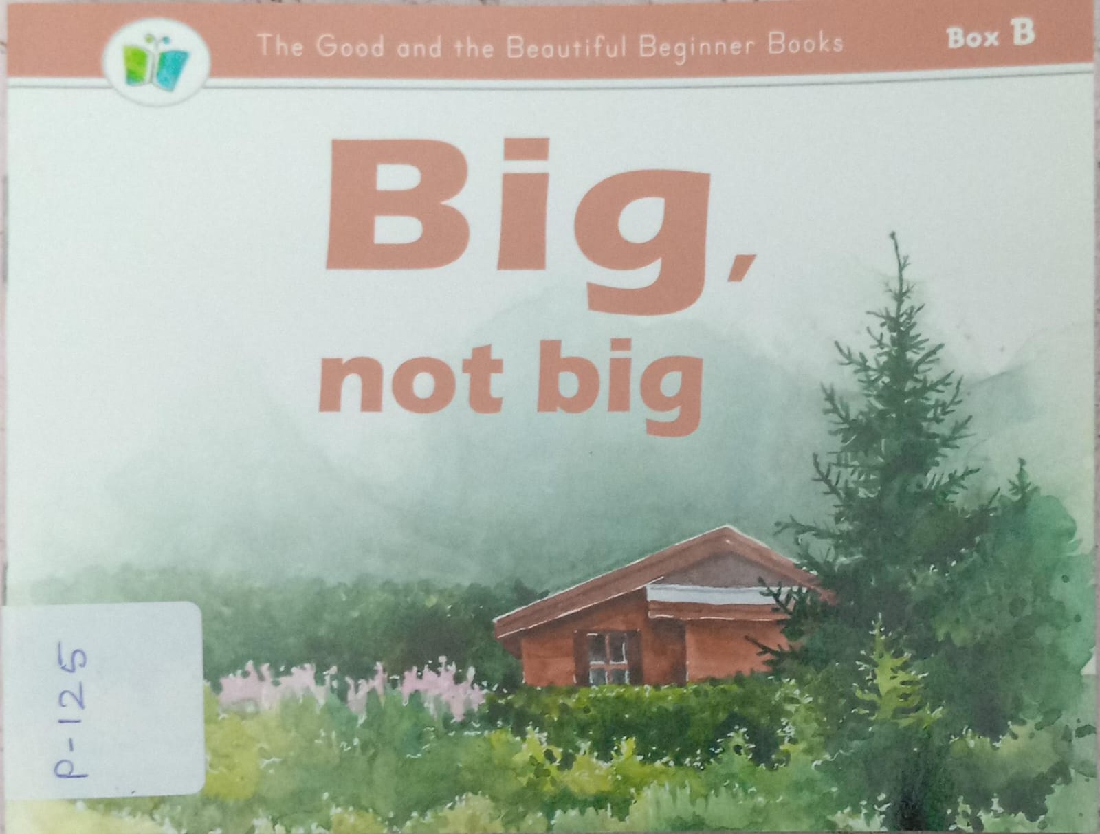 BIG, NOT BIG