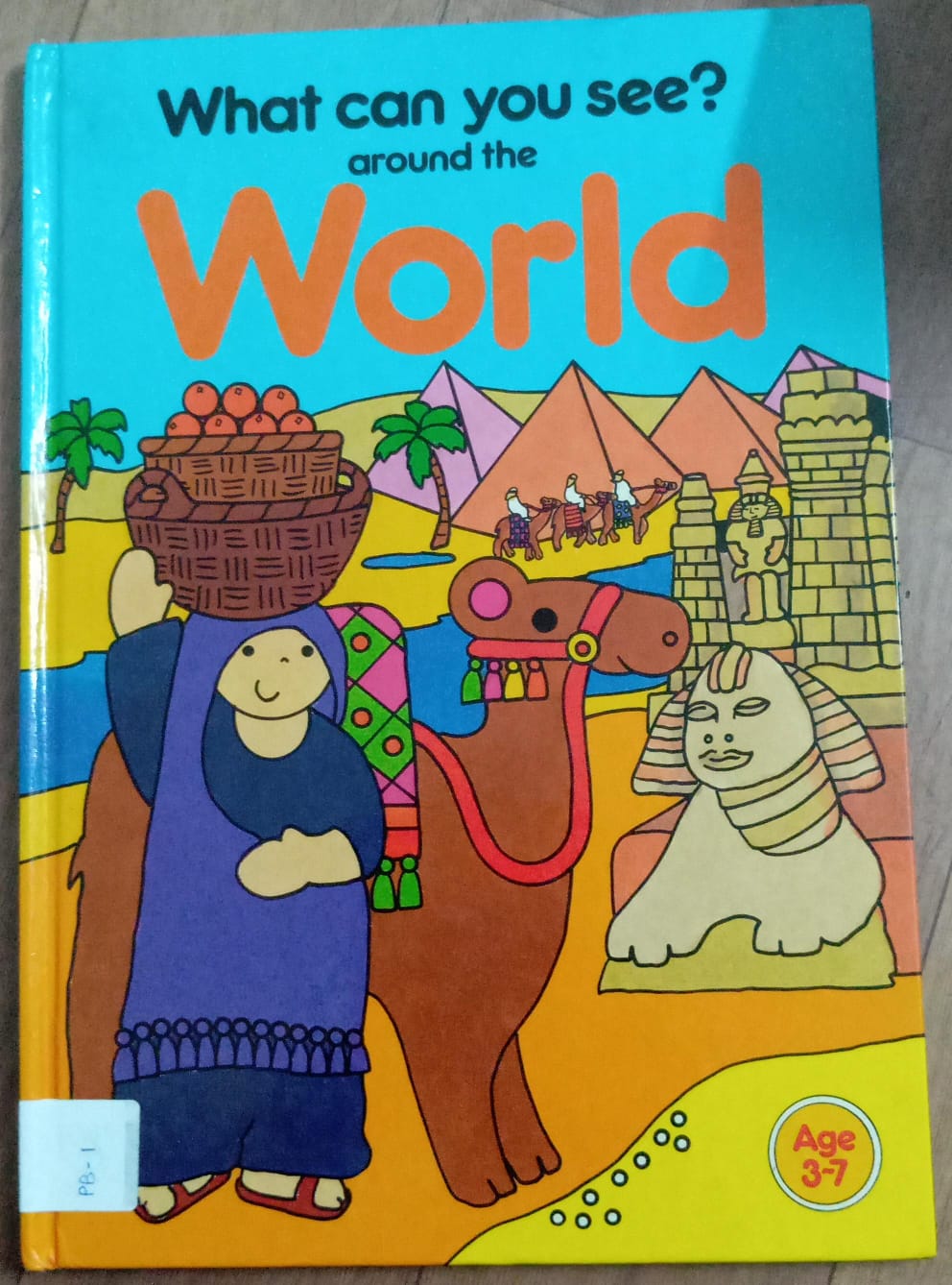 What Can You See Around the World