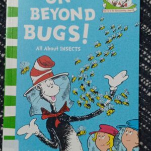 On Beyond Bugs