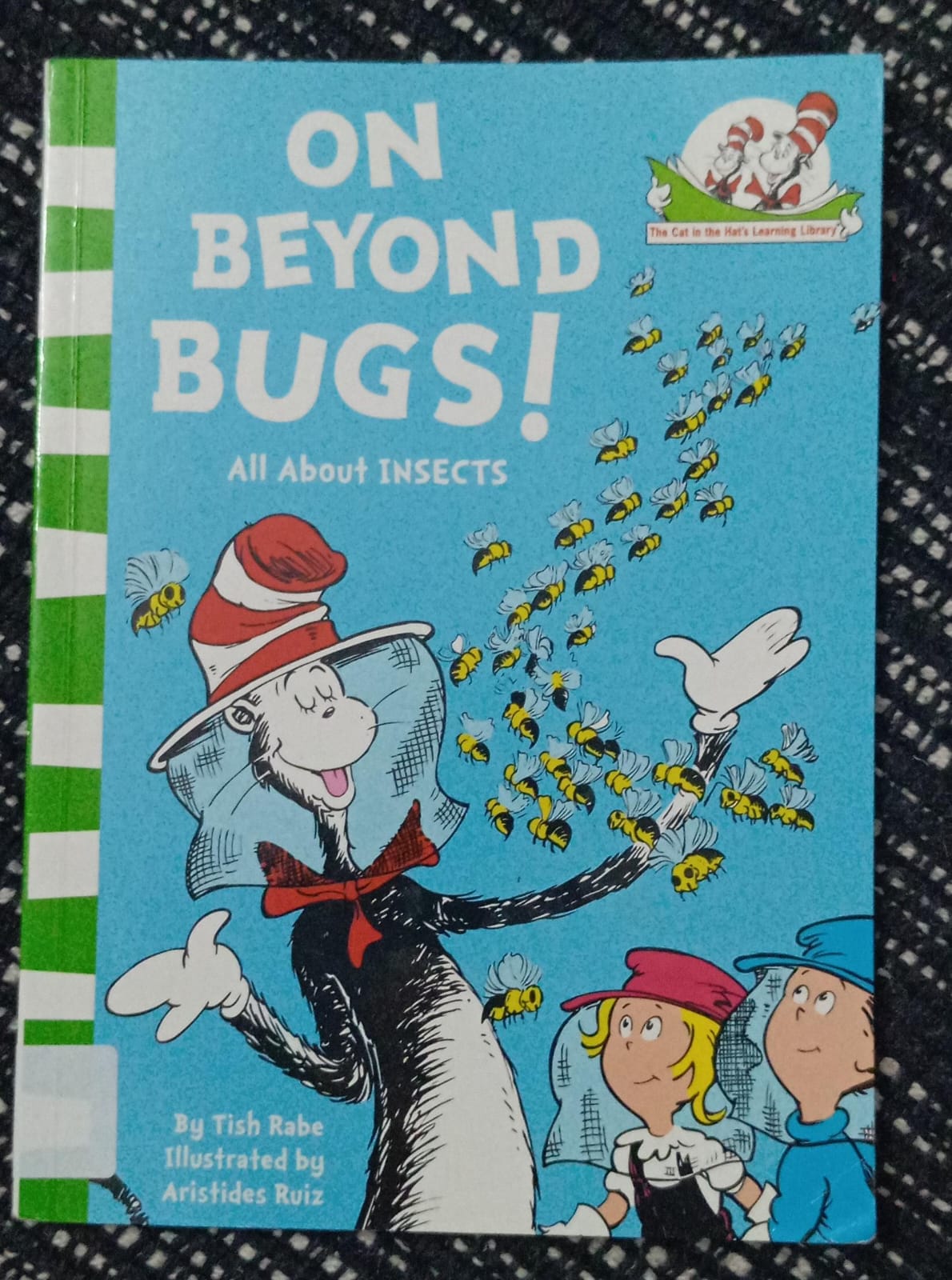 On Beyond Bugs