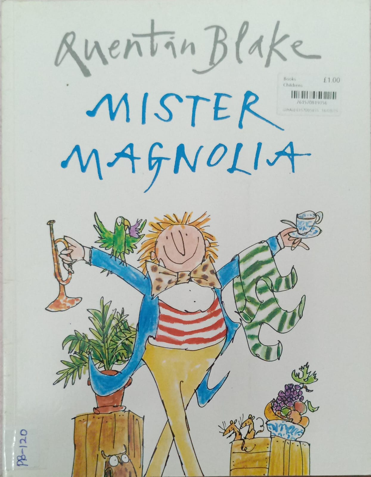 MISTER MAGNOLIA