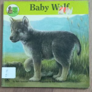 Baby Wolf
