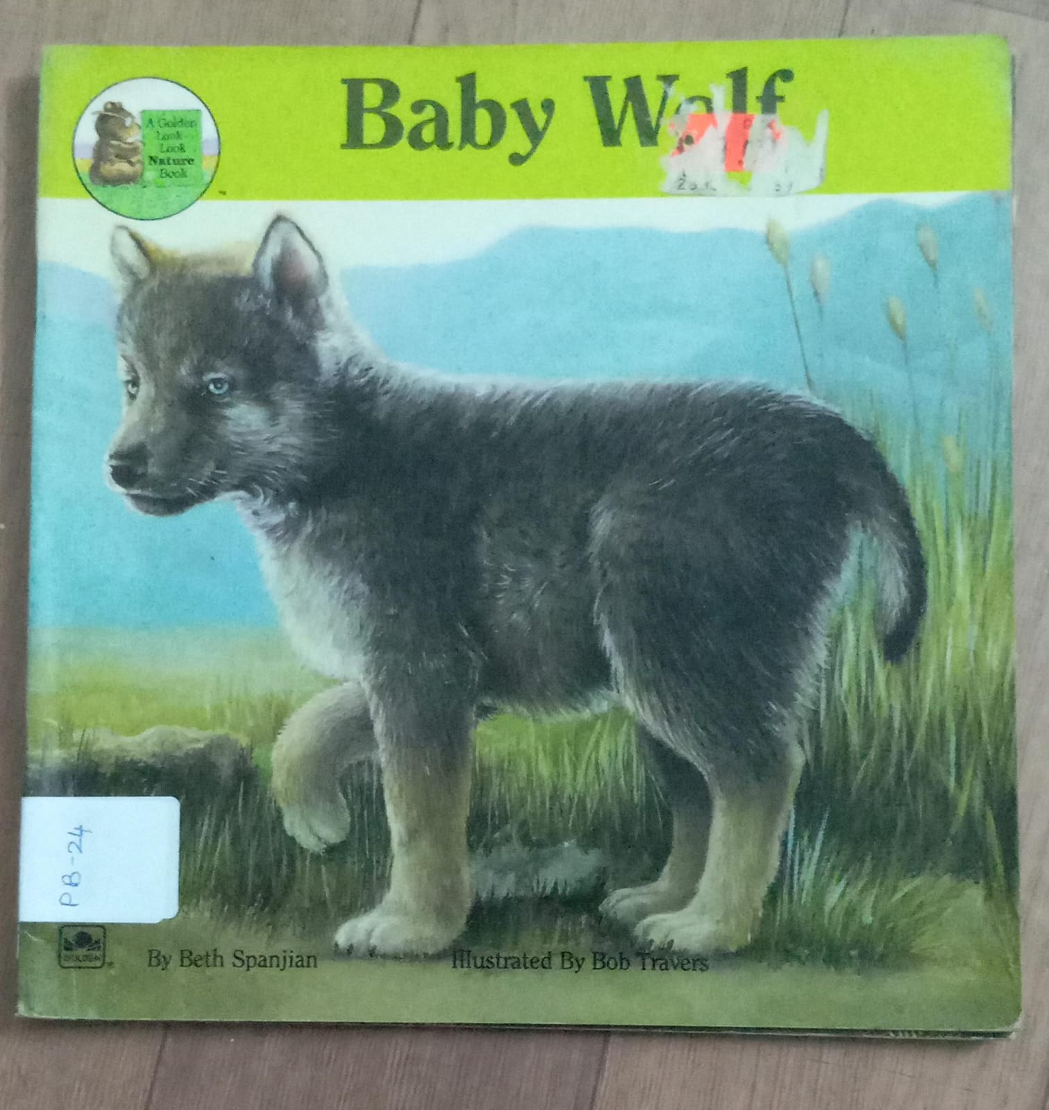 Baby Wolf