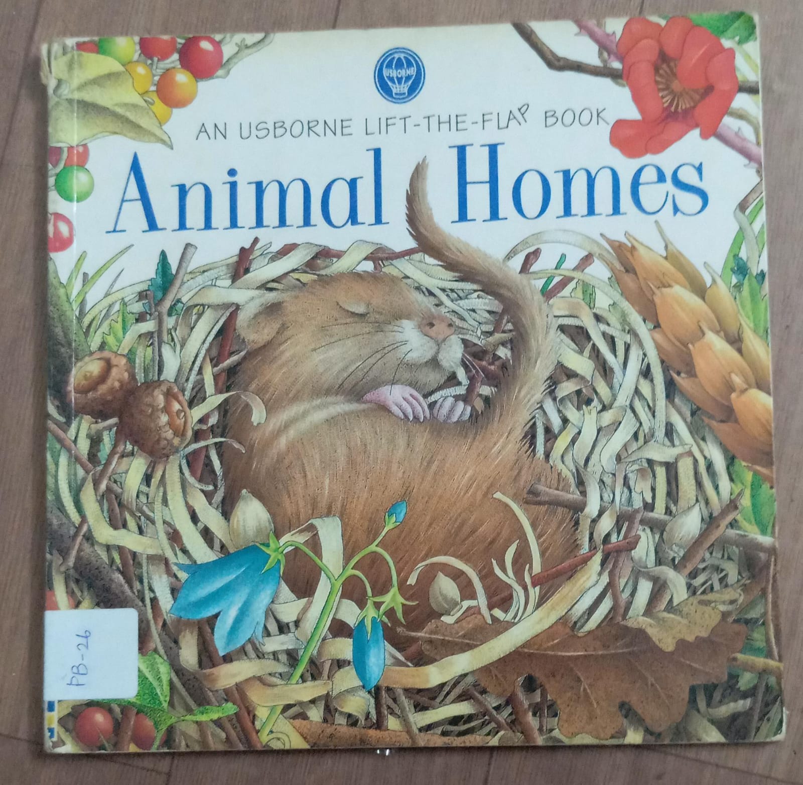 Animal Homes ( Lift The Flap)