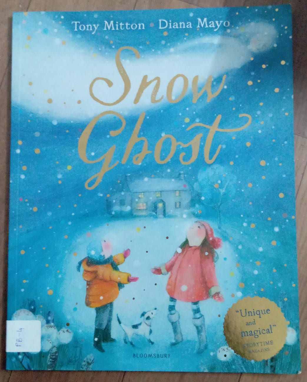 Snow Ghost
