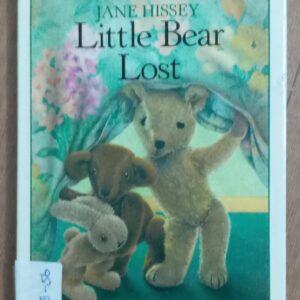 Little Bear Lost