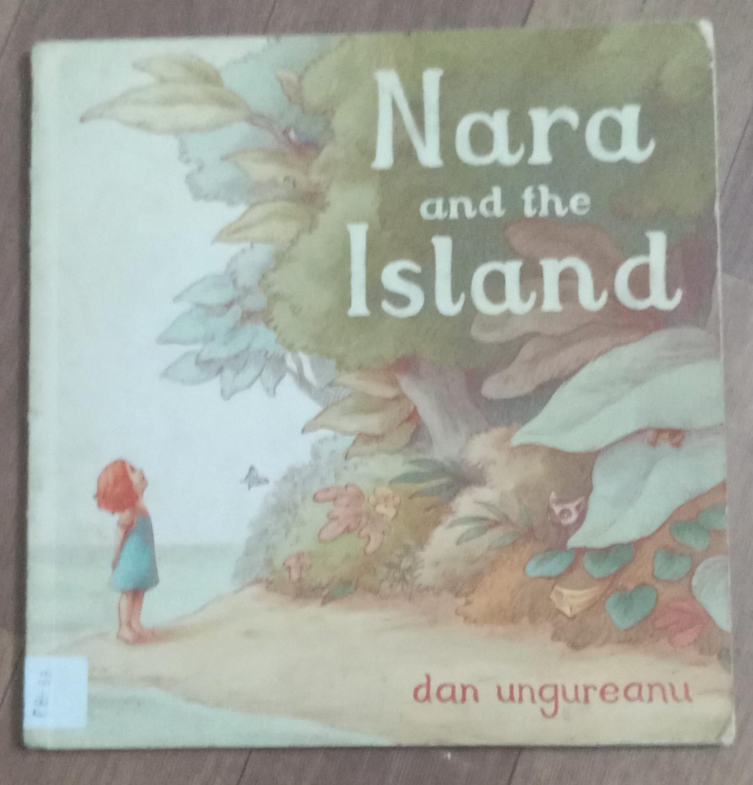 Nara And The Island
