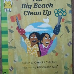 THE BIG BEACH CLEAN UP