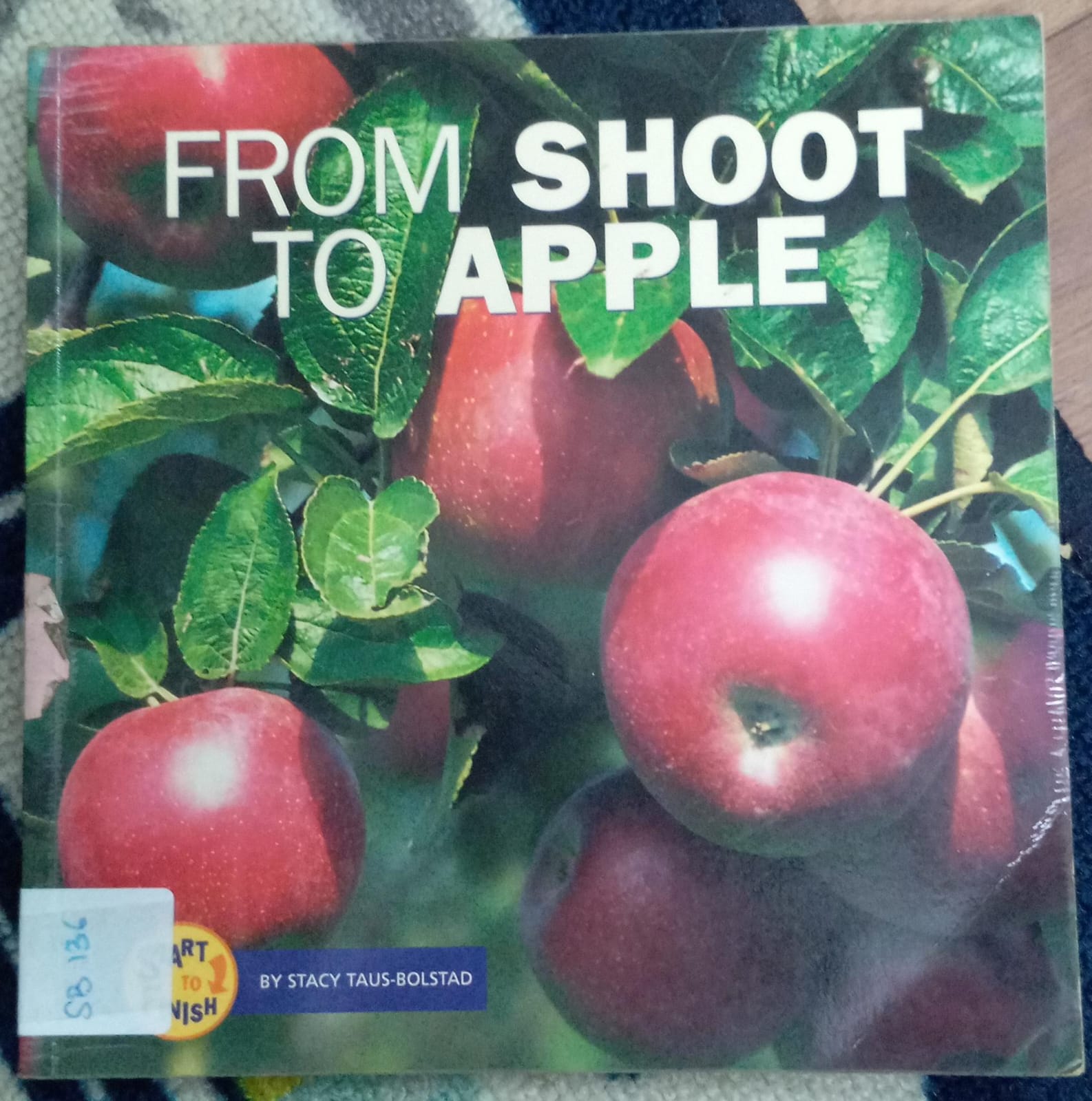 FROM SHOOT TO APPLE