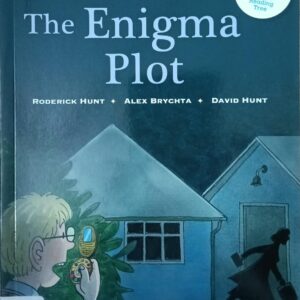 THE ENIGMA PLOT