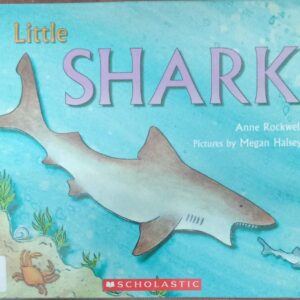 LITTLE SHARK