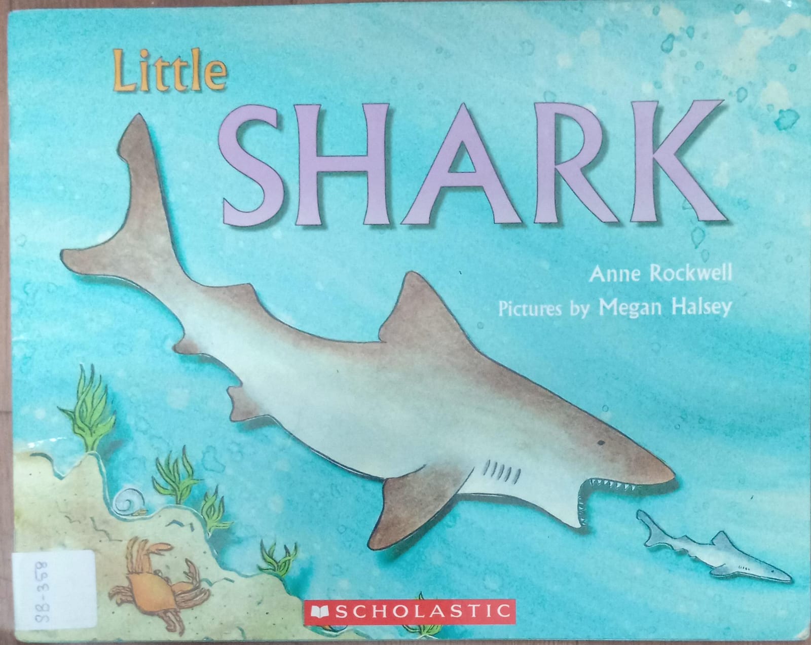 LITTLE SHARK