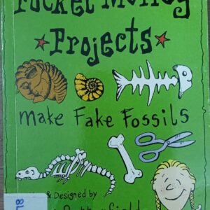 POCKET MONEY PROJECTS