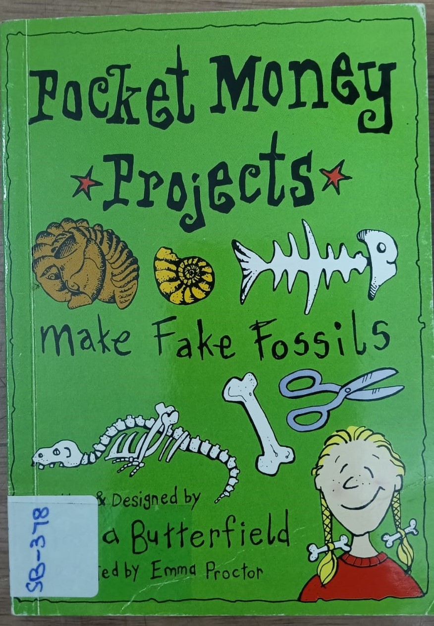 POCKET MONEY PROJECTS