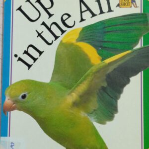UP IN THE AIR
